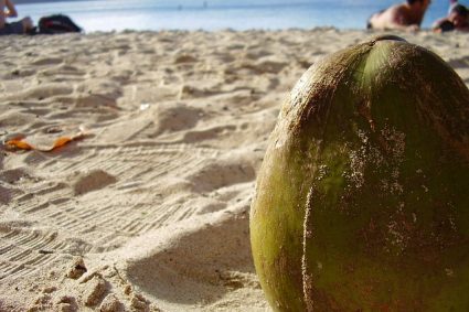 Que faire en Martinique pour des vacances de rêve ?