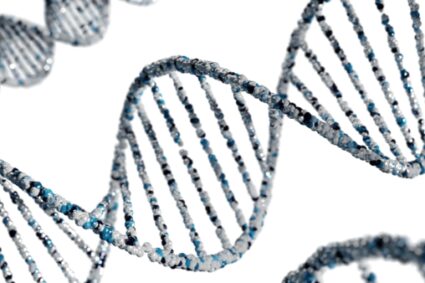 l'ADN humain sur fond blanc lors d'un test ADN en laboratoire