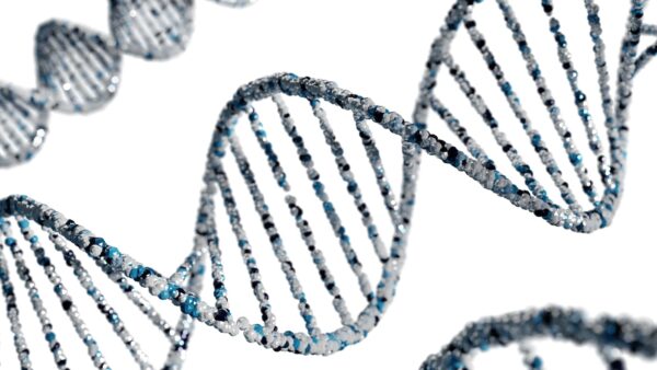 l'ADN humain sur fond blanc lors d'un test ADN en laboratoire