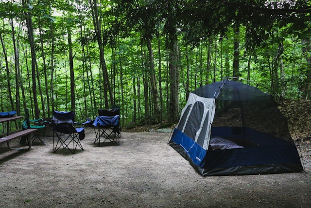 campings en forêt