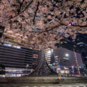 Station Terminal de Nagoya