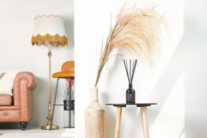 Comment choisir un diffuseur de parfum efficace pour votre maison ?