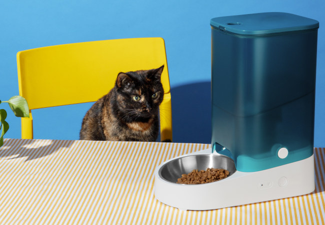 l'environnement du chat 