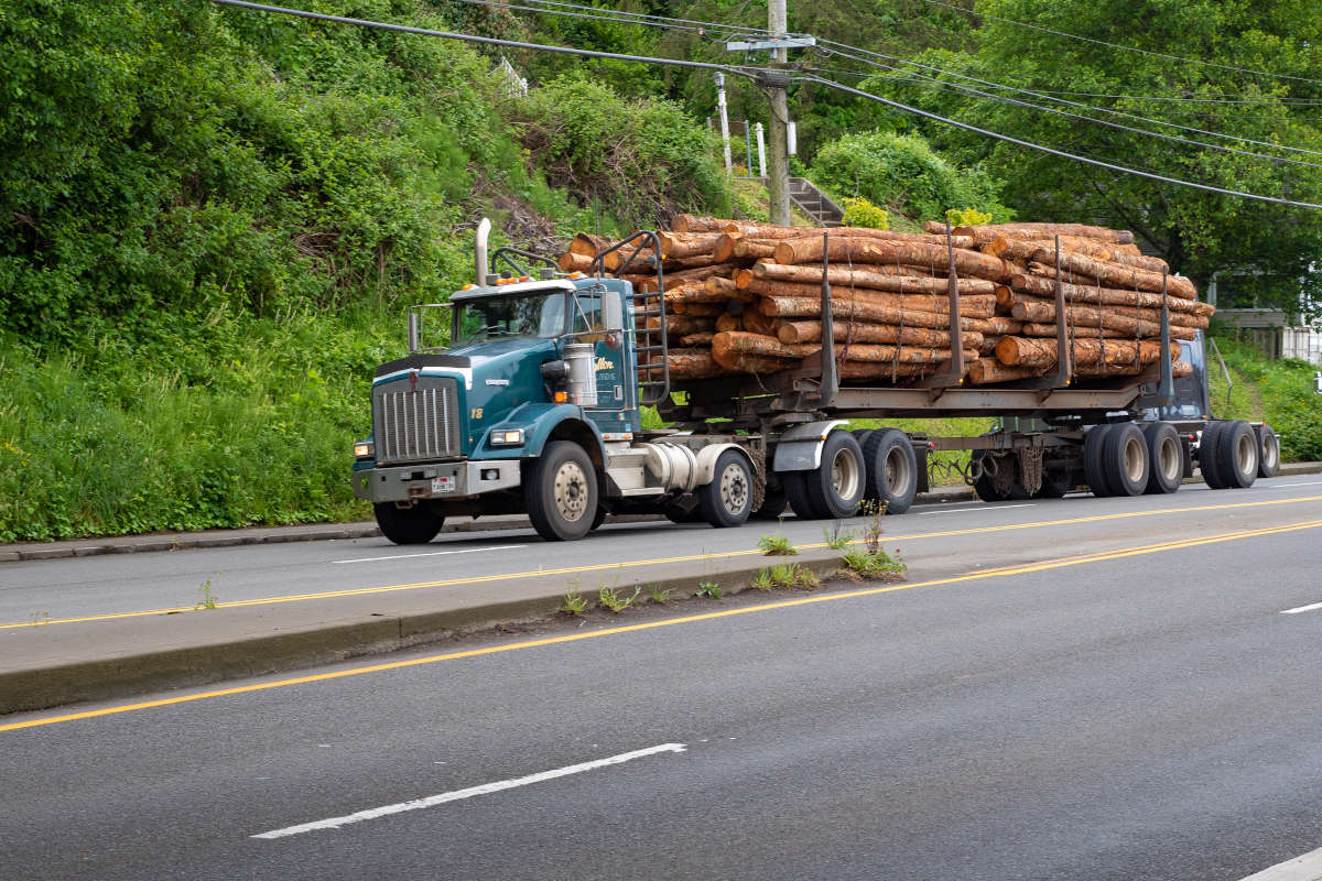 Analyse des prix d’un camion de bois en grume selon les pays
