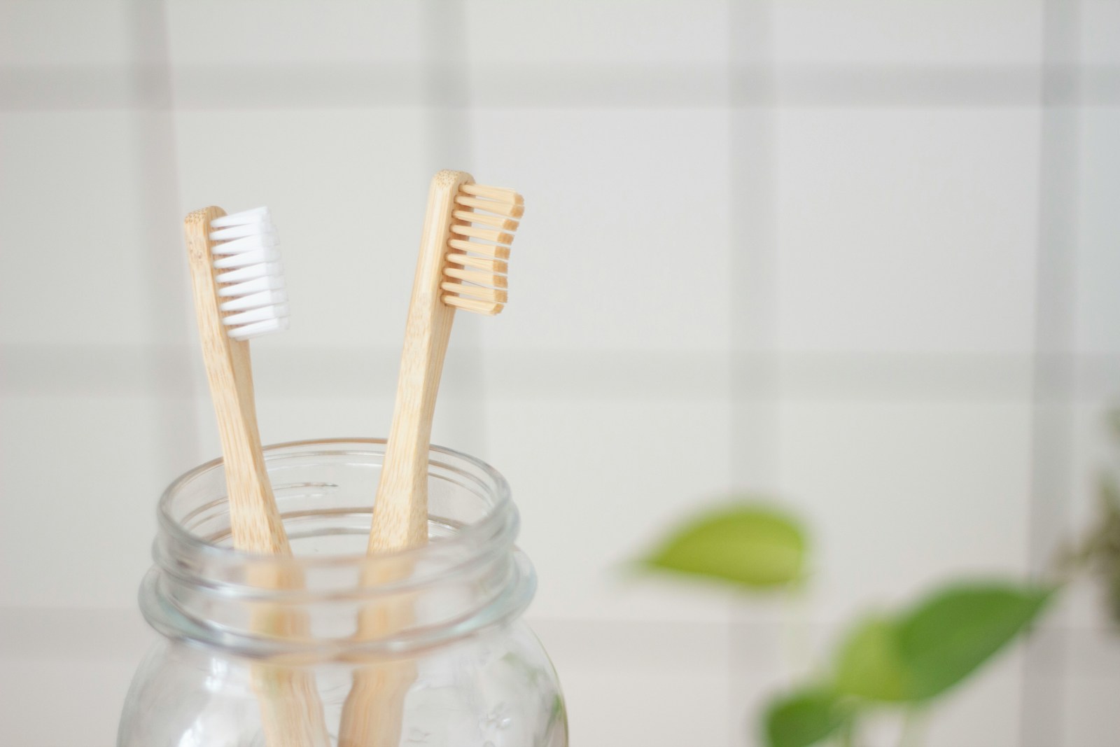 Brosse à dents
